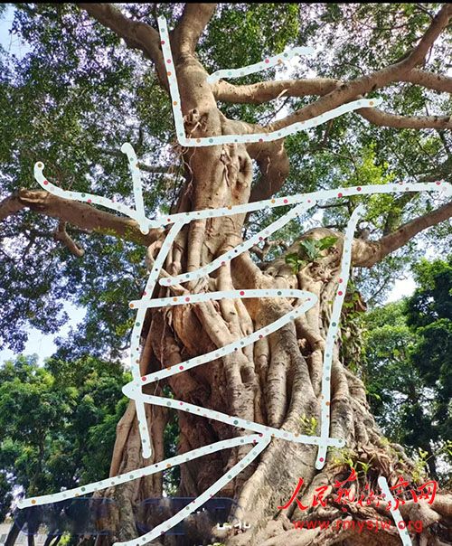 Ʒ��һ���������鷨����ζ����֮�����ܾ�