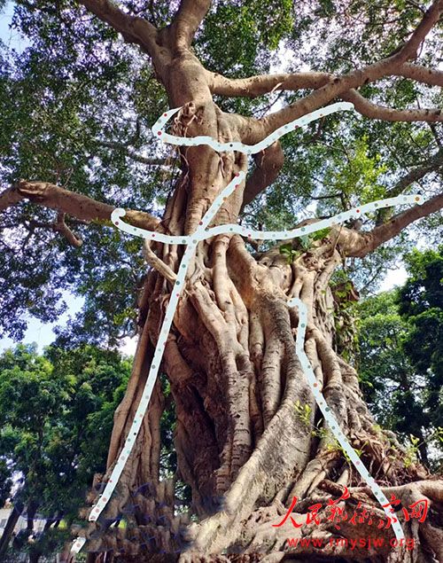 Ʒ��һ���������鷨����ζ����֮�����ܾ�