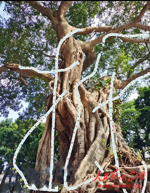 Ʒ��һ���������鷨����ζ����֮�����ܾ�