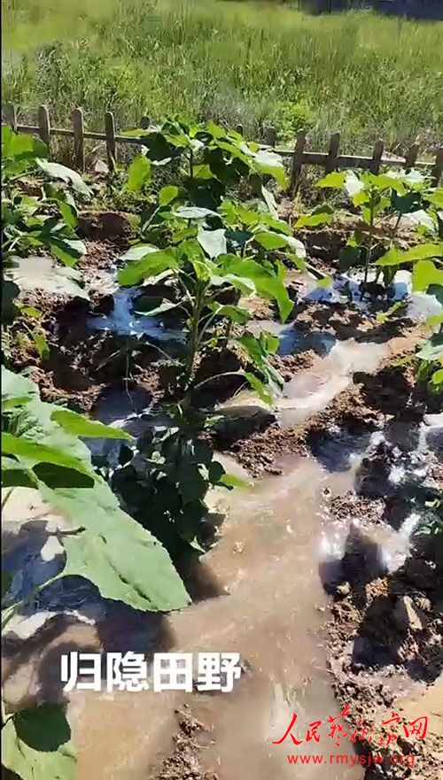 ��ɽ���Ƶ۳ǡ���԰��