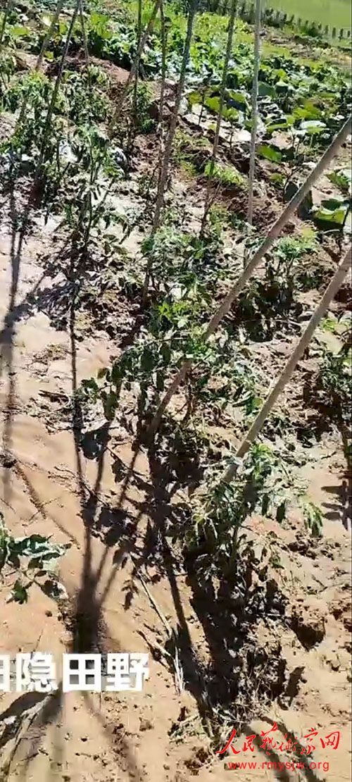 ��ɽ���Ƶ۳ǡ���԰��