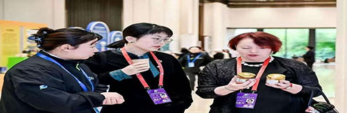 2025ŷ�Ǿ�����̳������ʢ��Ļ